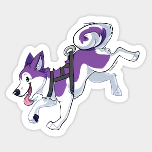 Purple Husky Running Sticker